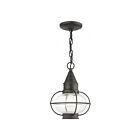 Livex Lighting 26910-61 Newburyport 1-Lumière 100W Fusain Luminaire Suspendu extrieur