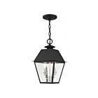 Livex Lighting 27217-04 Wentworth 2-Lumières 120W Noir Luminaire Suspendu extrieur