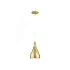 Livex Lighting 41171-33 Amador 1-Lumière 60W Or doux avec accents en laiton poli Suspendu