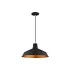 Livex Lighting 41183-04 Pendants 1-Lumière 60W Noir Suspendu
