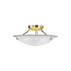 Livex Lighting Oasis 4274-02 3-Lumières 225W Luminaire de plafond