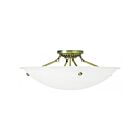 Livex Lighting Oasis 4275-01 4-Lumières 300W Luminaire de plafond
