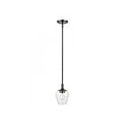 Livex Lighting 46721-46 Willow 1-Lumière 60W Chrome noir Suspendu