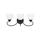 Livex Lighting 4753-04 Brookside 3-Lights 300W Noir Luminaire de vanité