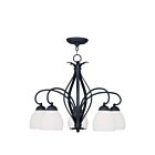 Livex Lighting 4775-04 Brookside 5-lumières 500W Noir Lustre
