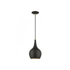 Livex Lighting 49016-04 Andes 1-Lumière 60W Noir avec accents en laiton antique Suspendu