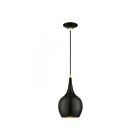 Livex Lighting 49016-68 Andes 1-Lumière 60W Noir brillant avec accents en laiton poli Suspendu