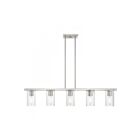 Livex Lighting 49275-91 Clarion 5-lumières 300W Nickel brossé Lustre