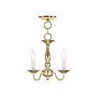 Livex Lighting 5009-02 Williamsburgh 3-Lumières 180W Laiton poli Cabriolet Plafonnier semi-encastré ou Suspendu