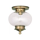 Livex Lighting Harbor 5036-01 1-Lumière 100W Luminaire de plafond