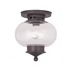 Livex Lighting Harbor 5036-07 1-Lumière 100W Luminaire de plafond