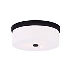 Livex Lighting Meridian 50864-07 3-Lumières 120W Luminaire de plafond