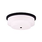 Livex Lighting Meridian 50867-07 5-Lumières 200W Luminaire de plafond
