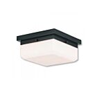 Livex Lighting Allure 65536-92 2-Lumières 80W Luminaire de plafond