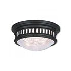 Livex Lighting Berwick 73052-07 2-Lumières 80W Luminaire de plafond