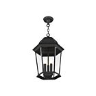 Livex Lighting 7569-14 Hamilton 3-Lumières 120W Noir texturé Luminaire Suspendu extrieur