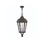 Livex Lighting 76193-14 Morgan 3-Lumières 180W Noir texturé Luminaire Suspendu extrieur