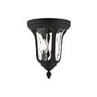 Livex Lighting Oxford 7861-14 2-Lumières 120W Luminaire de plafond