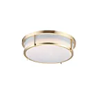 Maxim Lighting 10274WTSBR Rogue 1-lumière 20W Laiton satiné Plafonnier encastré