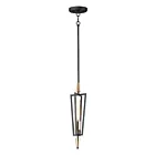 Maxim Lighting 11653BKSBR Wings 1-Lumière 60W Noir/Laiton satiné Suspendu