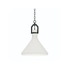Maxim Lighting 12383WTBK Lumi 1-Lumière 40W Noir Suspendu