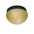 Plafonnier Nuvo Lighting 60-2646 2-Lumières Bois d'Acajou