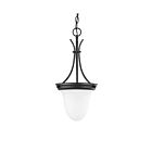 Luminaire Suspendu Nuvo Lighting 60-3174 1-Lumière Bois d'Acajou