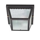 Plafonnier Extérieur Nuvo Lighting 60-473 2-Lumières Noir