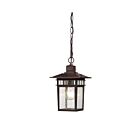 Lanterne Extérieur Nuvo Lighting 60-4955 1-Lumière Série Cove Neck Bronze Rustique