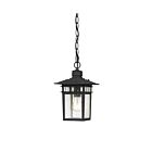 Lanterne Extérieur Nuvo Lighting 60-4956 1-Lumière Série Cove Neck Noir Texturé