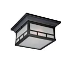 Plafonnier Extérieur Nuvo Lighting 60-5606 2-Lumières Série Drexel Pierre Noir