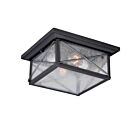 Plafonnier Extérieur Nuvo Lighting 60-5626 2-Lumières Série Wingate Noir Texturé