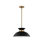Petit suspendu Nuvo Lighting Perkins 60-7460 100W 1 lumière noir mat avec laiton bruni
