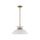 Petit suspendu Nuvo Lighting Perkins 60-7463 100W 1 lumière blanc mat avec laiton bruni