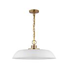 Suspendu de taille moyenne Nuvo Lighting Colony 60-7483 100W 1 lumière blanc mat avec laiton bruni