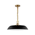 Suspendu de taille moyenne Nuvo Lighting Colony 60-7484 100W 1 lumière noir mat avec laiton bruni