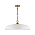Grand suspendu Nuvo Lighting Colony 60-7486 100W 1 lumière blanc mat avec laiton bruni