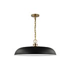 Grand suspendu Nuvo Lighting Colony 60-7487 100W 1 lumière noir mat avec laiton bruni