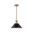 Suspendu de taille moyenne Nuvo Lighting Outpost 60-7523 60W 1 lumière noir mat avec laiton bruni