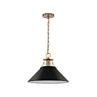 Grand suspendu Nuvo Lighting Outpost 60-7525 60W 1 lumière noir mat avec laiton bruni