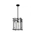 Mini suspendu Daphne Quoizel Lighting DPN1512MBK 100W 1 Lumière Noir mat