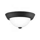 Plafonnier Quoizel Lighting ERW1611MBK Erwin 60W 1-Lumière Noir mat