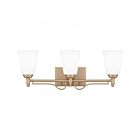 Quoizel Lighting Esther ESR8623BGD 3-Lumières Or en bronze 300W Luminaire de vanité