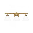 Luminaire de vanité à Ira Quoizel Lighting IRA8622WS 3-Lumières 180W Laiton patiné