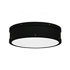 Quoizel Lighting QF5224MBK Ahoy Plafonnier
