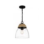 Mini suspendu Quoizel Piccolo Pendant Quoizel Lighting QPP5589MBK 100W 1 lumière Noir mat