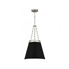 Mini suspendu Alwyn Quoizel Lighting QPP6183BN 100W 1 Lumière Nickel brossé