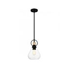 Mini suspendu Singh Quoizel Lighting QPP6187MBK 100W 1 Lumière Noir mat