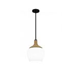 Mini suspendu Quoizel Piccolo Pendant Quoizel Lighting QPPO5603MBK 100W 1 lumière Noir mat