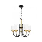 Chandelier Rowland Quoizel Lighting ROW5022MBK 5100W 5 lumières Noir mat